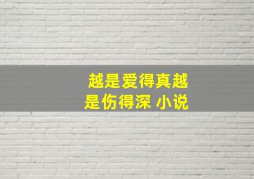 越是爱得真越是伤得深 小说